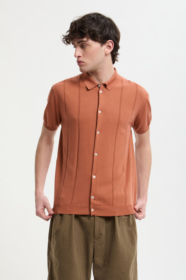 Horatio Polo