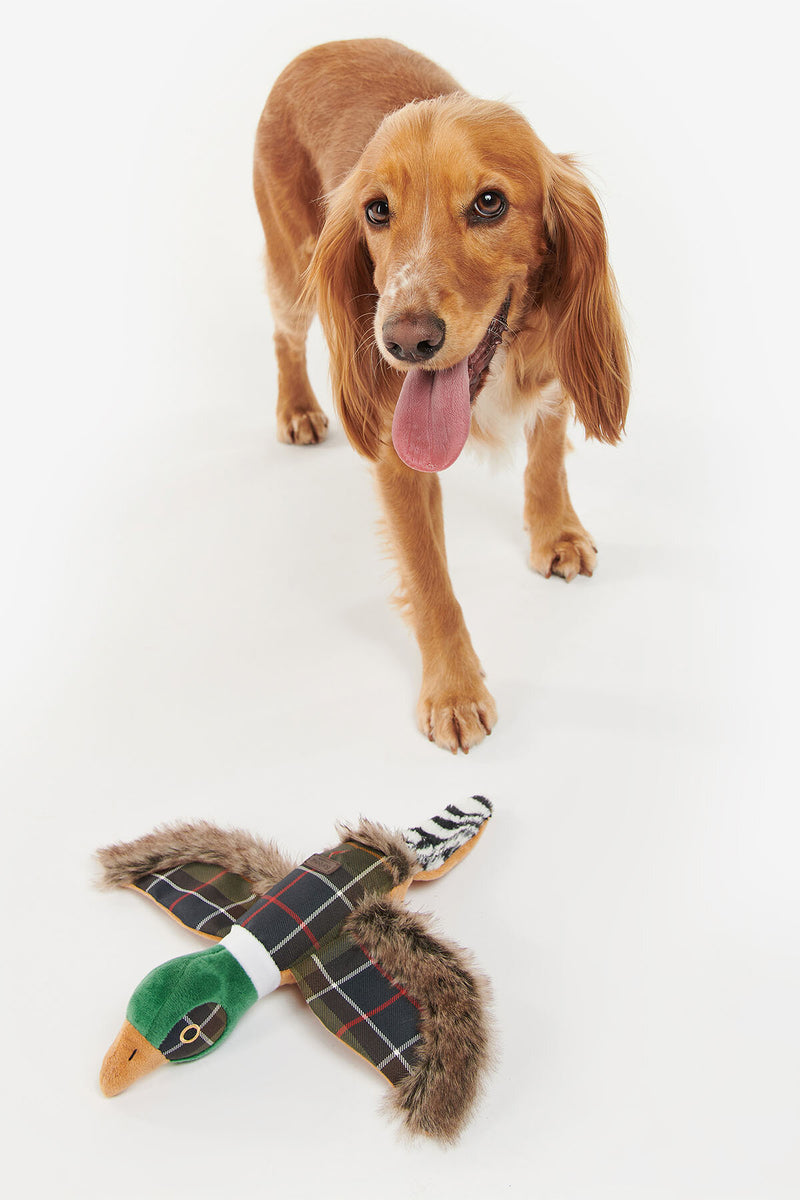 Giocattolo per cani a forma di fagiano