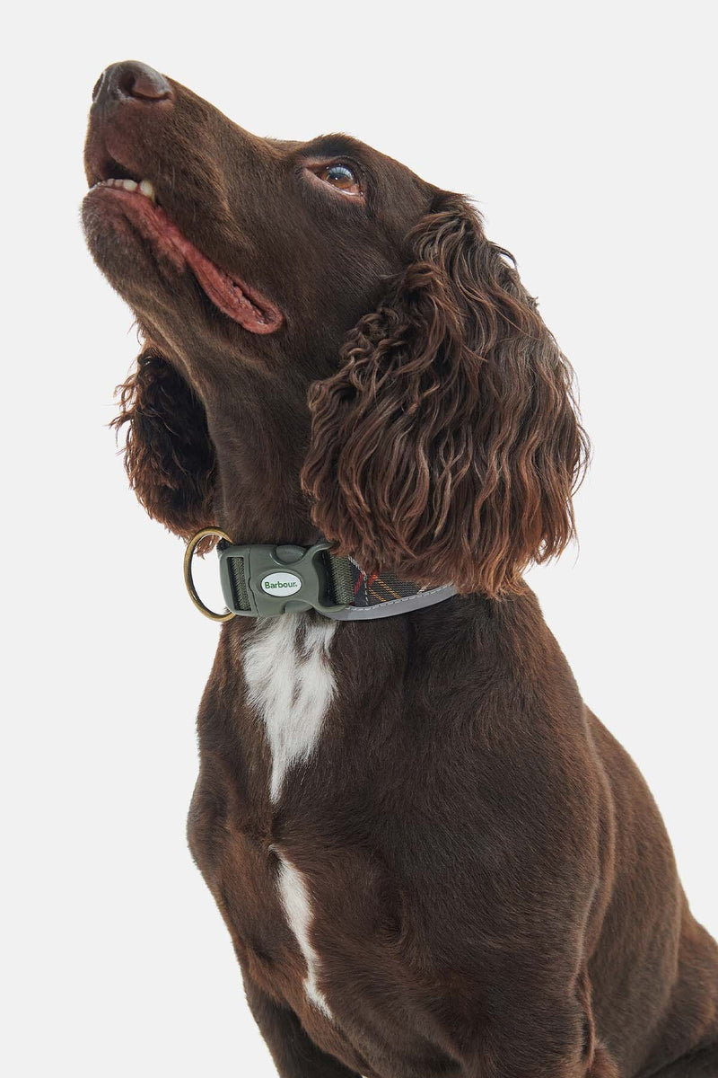 Reflective Tartan Comfort Collar