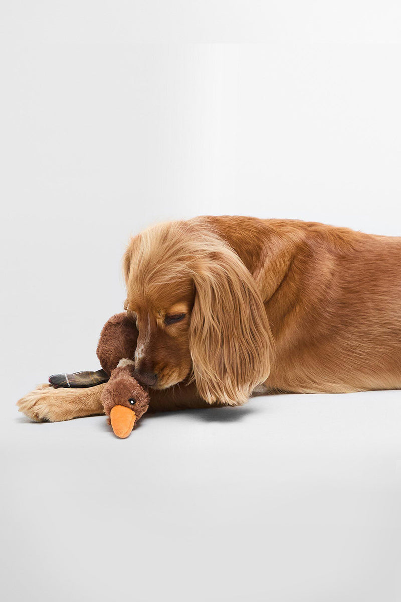 Giocattolo per cani a forma di anatra in volo Barbour