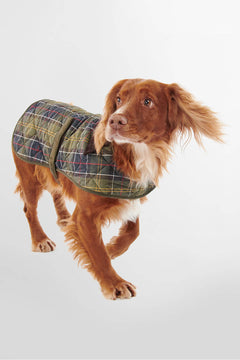 Cappottino per cani in tartan