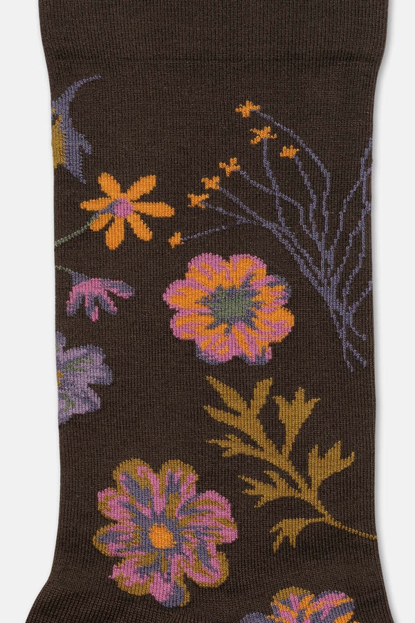 Herbier Terre D'Ombre Socks