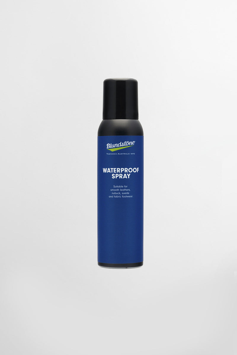 SHOE CARE KIT
